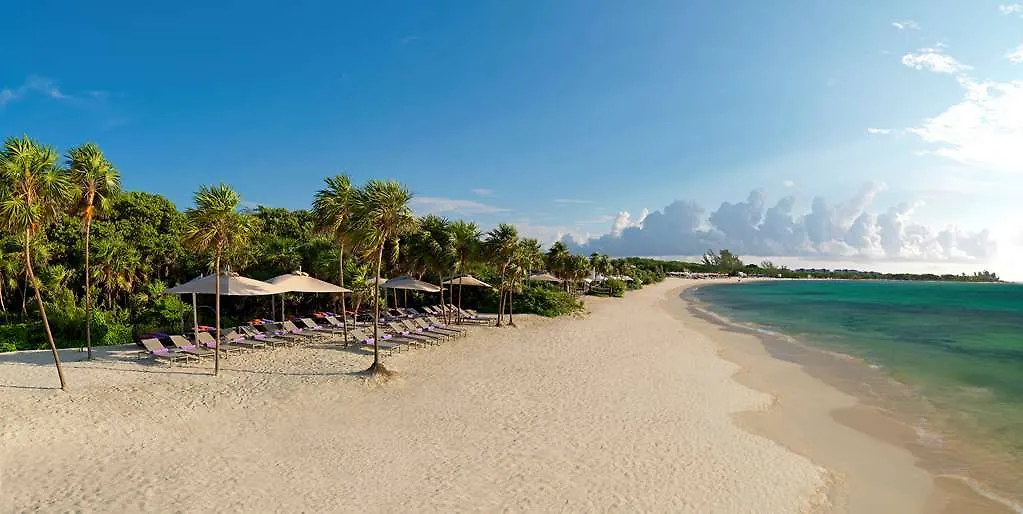 ***** Hotel Royal Service At Paradisus La Perla (Adults Only) Playa del Carmen Mexico